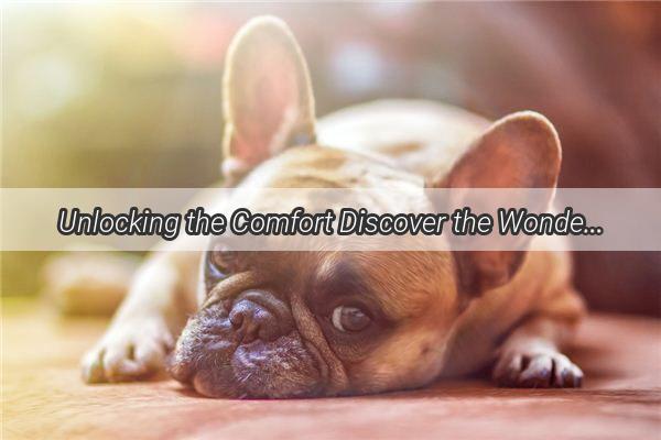 Unlocking the Comfort Discover the Wonders of Desensitizing Vaccination Shots for Your Pooch